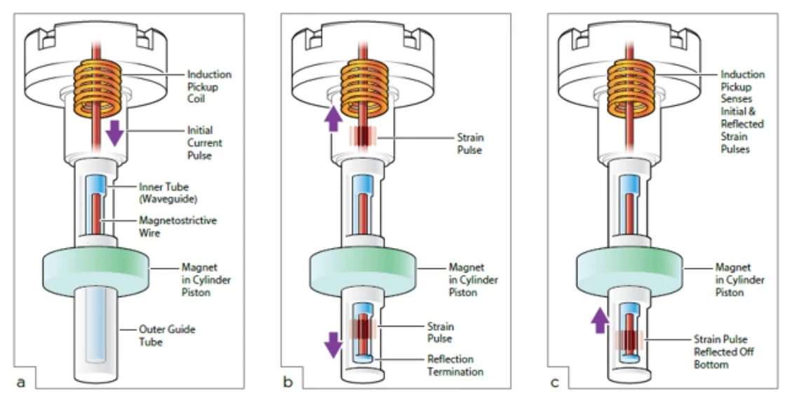 FSR diagram